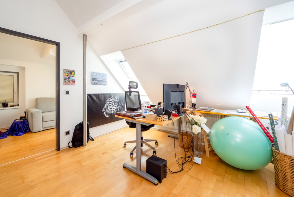Zimmer-RSI-24-4029
