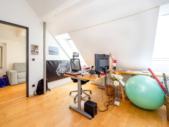 Zimmer-RSI-24-4029