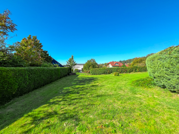 Garten-RSI-24-2982