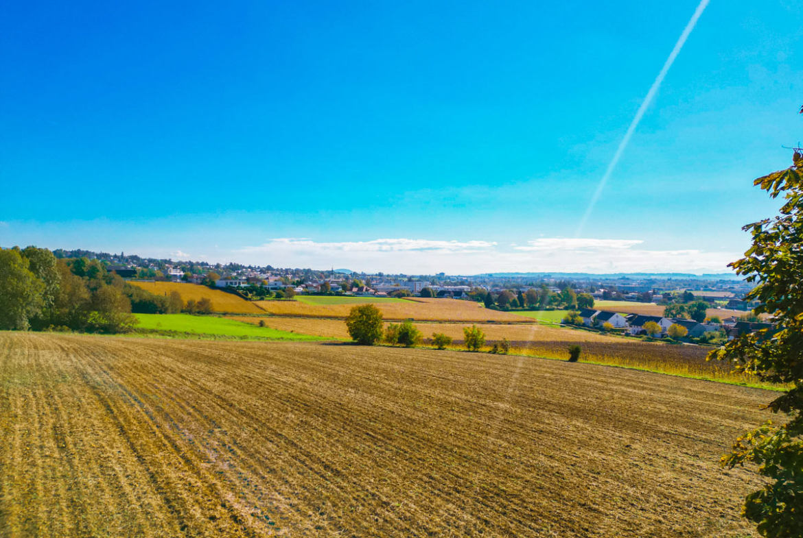 Ausblick-RSI-24-2982